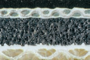 EBONY HC